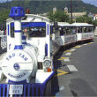 Tren turístico