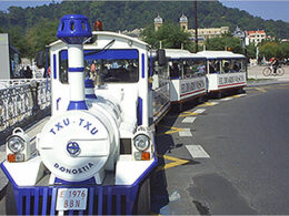Tren turístico